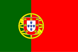 language-flag