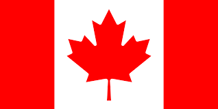 language-flag