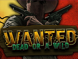 Interface de jeu mobile Staxino Casino avec un slot populaire